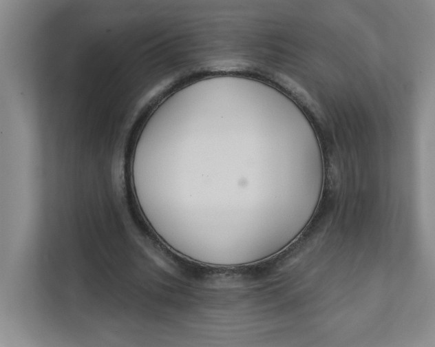 X0000111420535200908031307