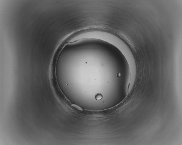 X0000111420536200908031307
