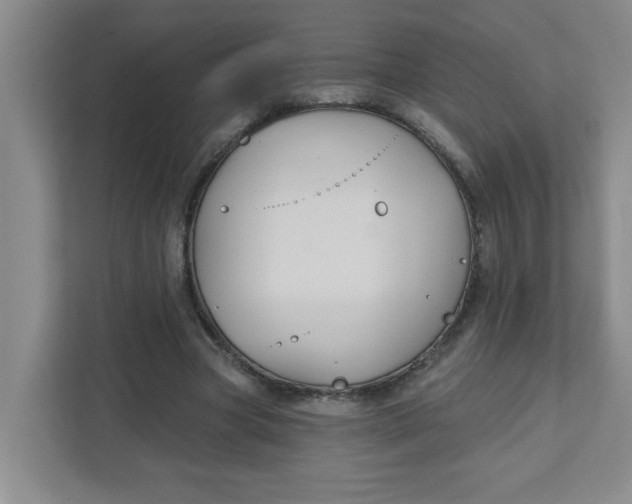 X0000111420537200908031307