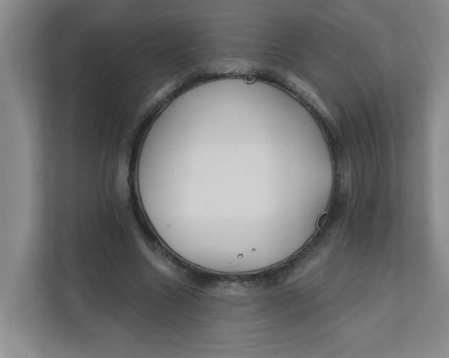 X0000111420538200908031307