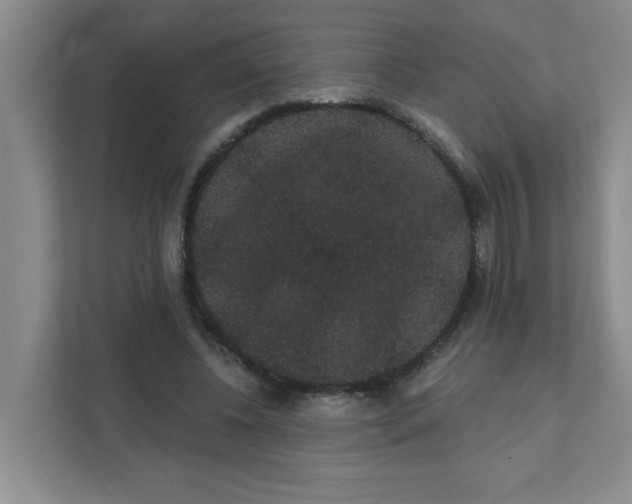 X0000111420540200908031307