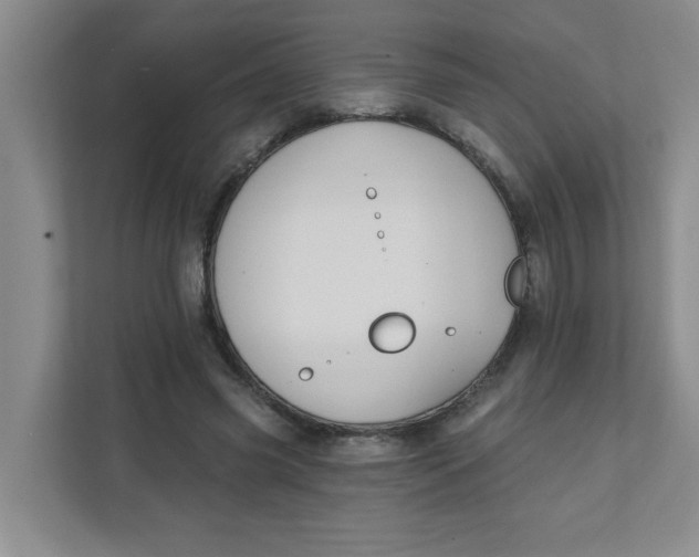 X0000111420541200908031307