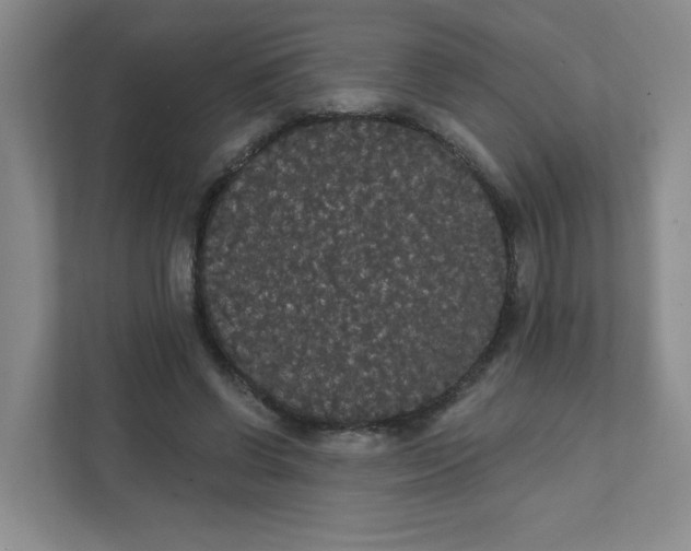 X0000111420542200908031307