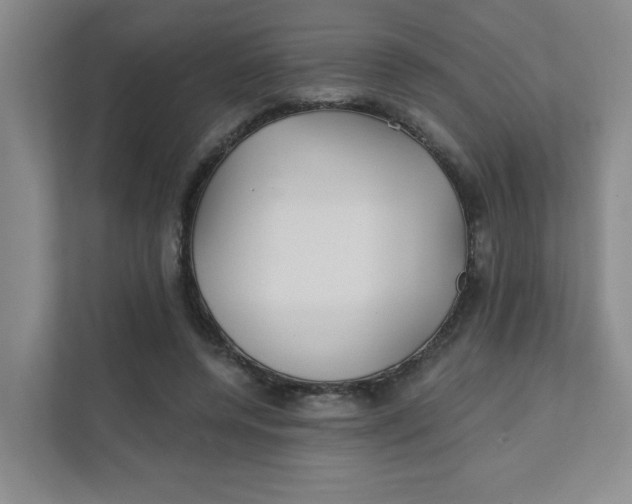 X0000111420544200908031307