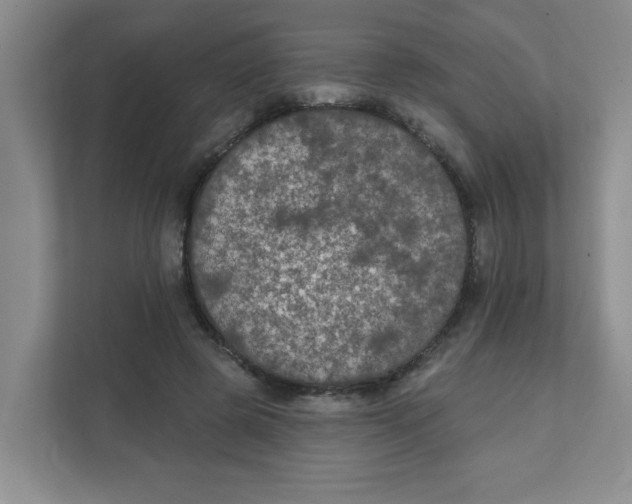 X0000111420545200908031307