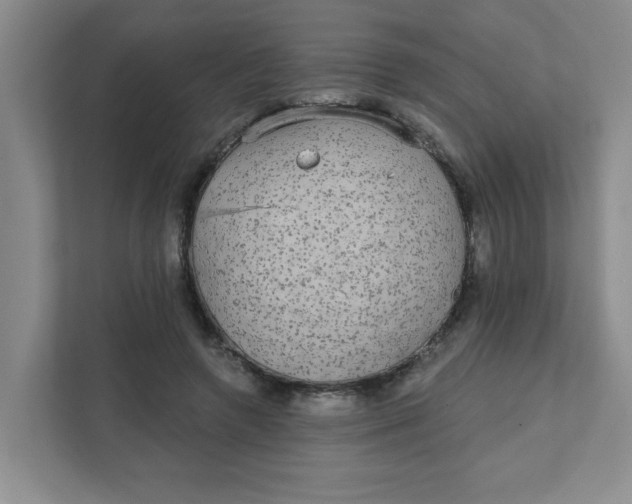 X0000111420546200908031307