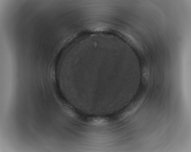 X0000111420547200908031307