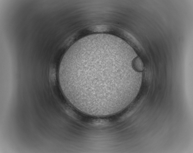 X0000111420549200908031307