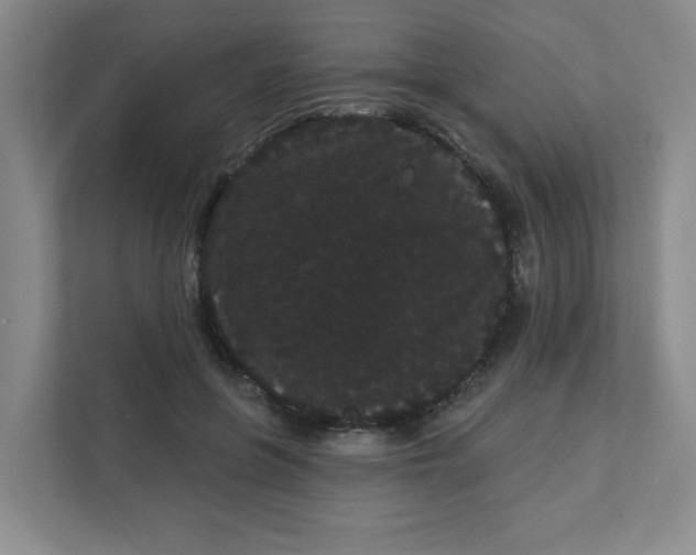 X0000111420551200908031307