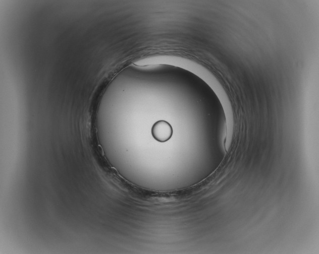 X0000111420552200908031307