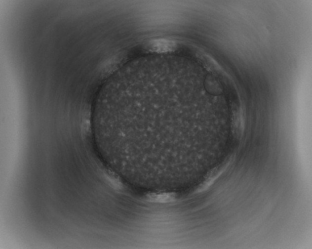 X0000111420553200908031307