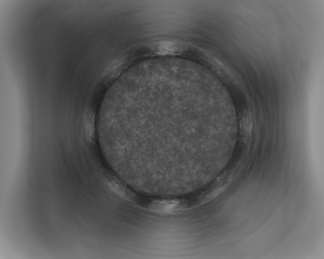 X0000111420554200908031307