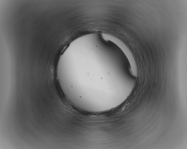 X0000111420556200908031307