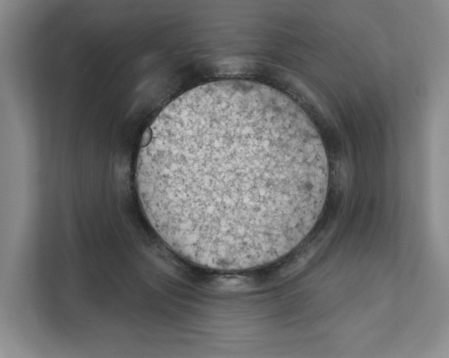 X0000111420557200908031307