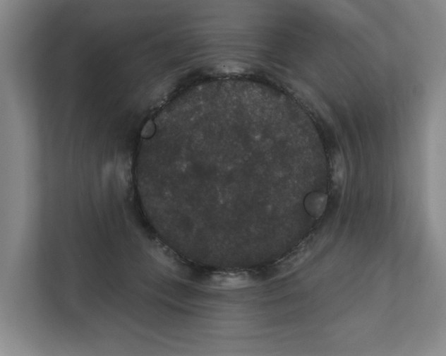 X0000111420559200908031307