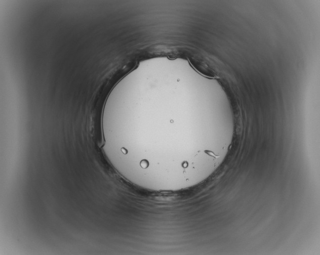 X0000111420560200908031307