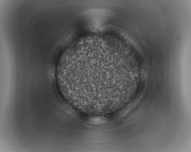 X0000111420561200908031307