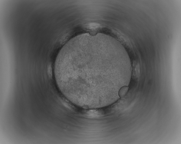 X0000111420562200908031307