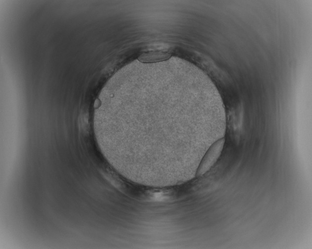 X0000111420564200908031307