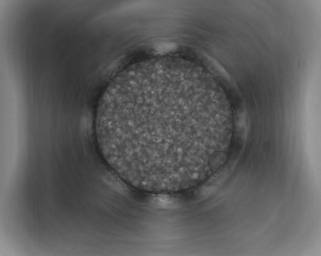 X0000111420565200908031307