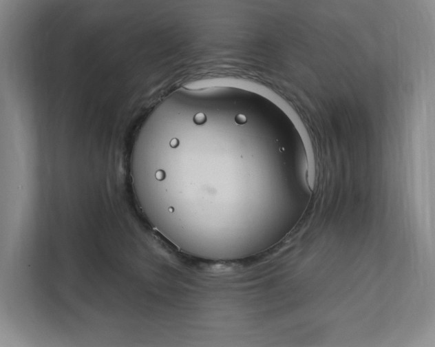 X0000111420566200908031307