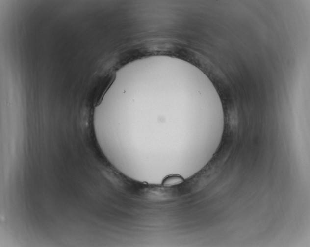 X0000111420567200908031307