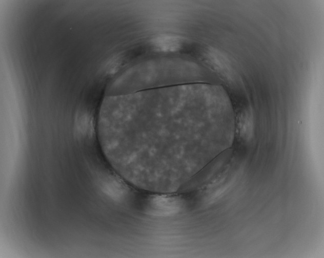 X0000111420568200908031307