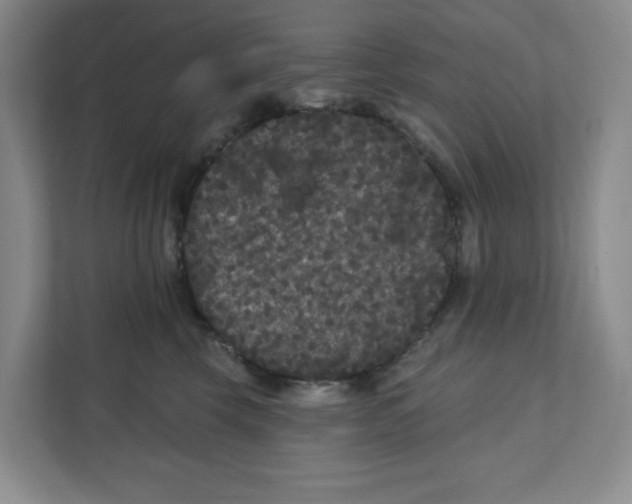 X0000111420569200908031307