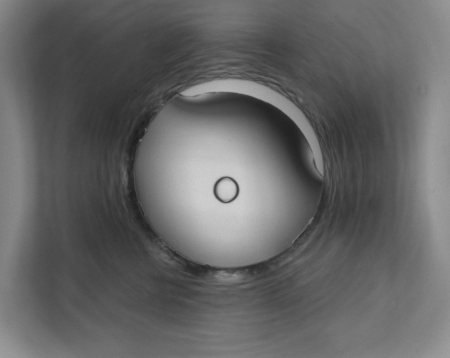 X0000111420570200908031307