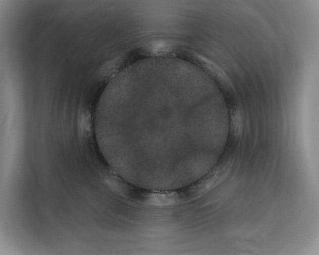 X0000111420571200908031307