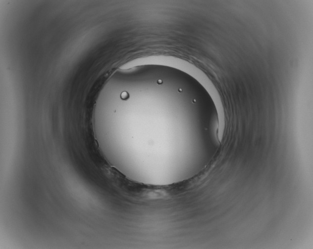 X0000111420572200908031307