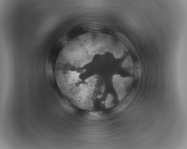X0000111420573200908031307