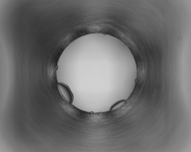 X0000111420574200908031307