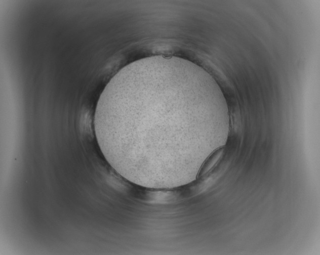 X0000111420575200908031307
