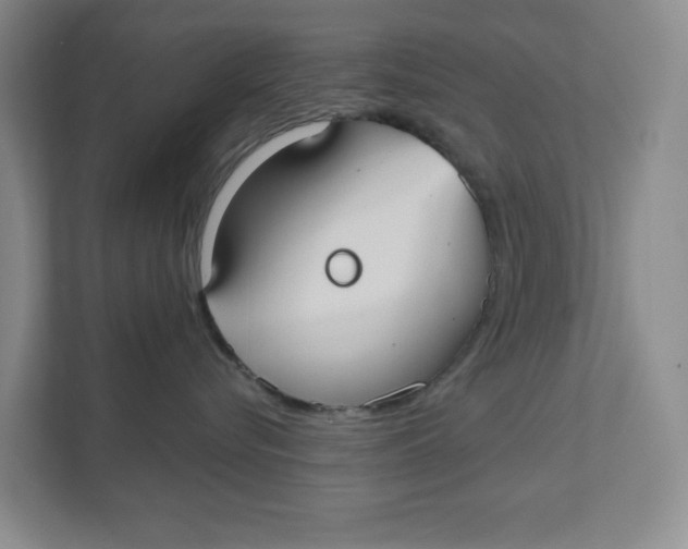 X0000111420576200908031307