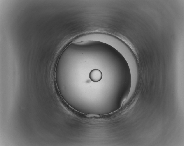 X0000111420577200908031307