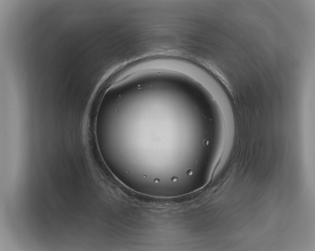 X0000111420579200908031307