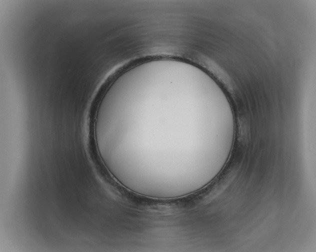 X0000111420580200908031307