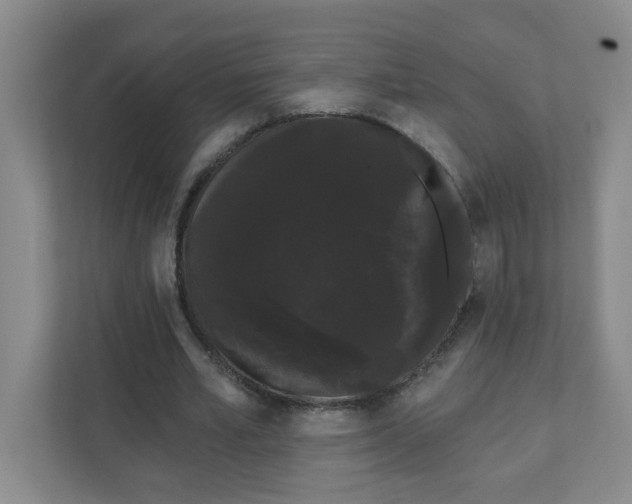 X0000111420581200908031306