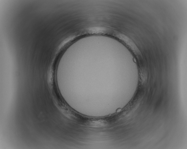 X0000111420583200908031306