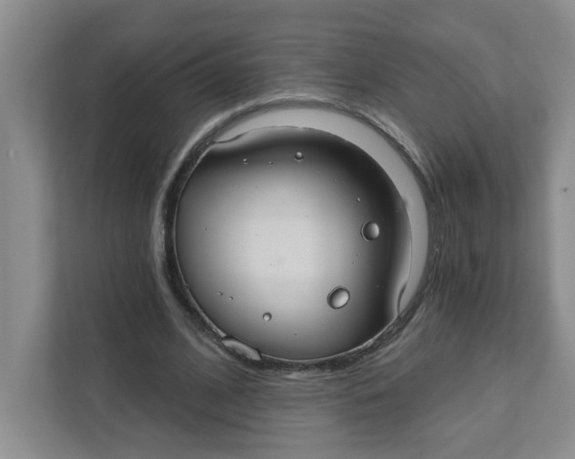 X0000111420584200908031306
