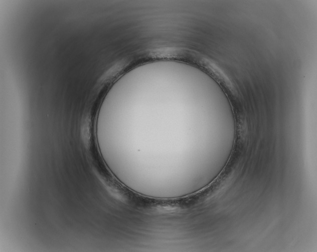 X0000111420586200908031306