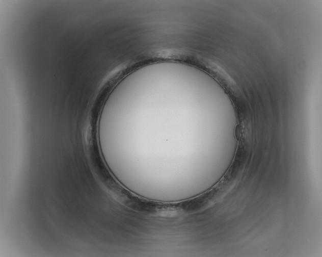 X0000111420587200908031306