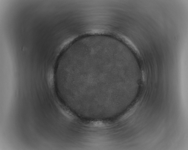 X0000111420588200908031306