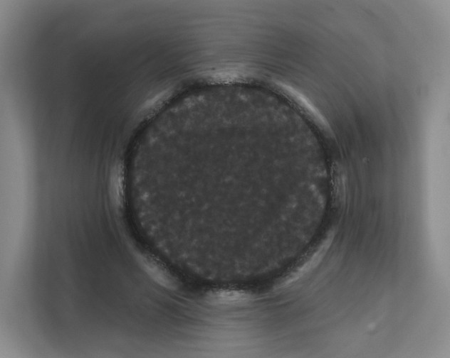 X0000111420590200908031306