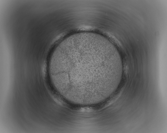 X0000111420591200908031306