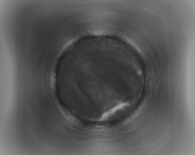 X0000111420592200908031306