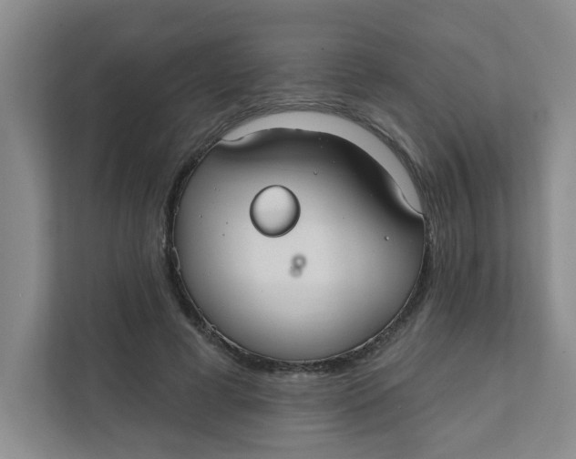 X0000111420593200908031306