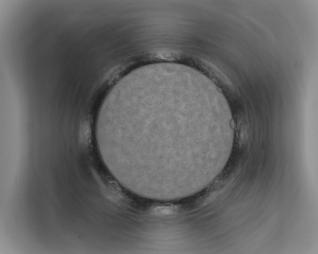 X0000111420595200908031306