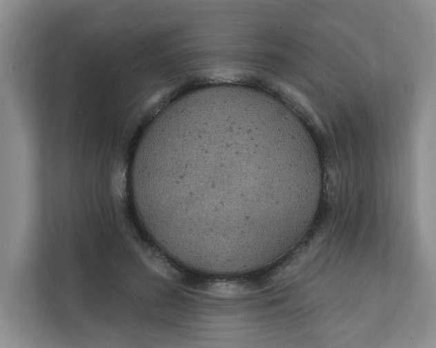 X0000111420596200908031306